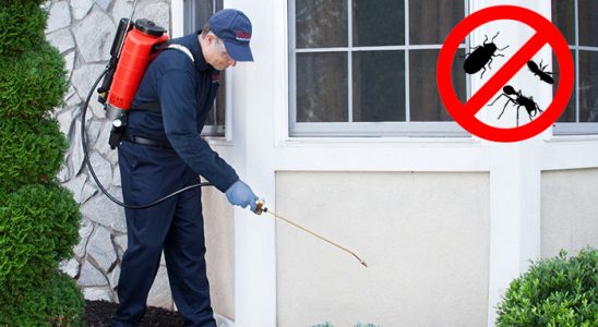 Sındırgı Fare İlaçlama böcek ilaçlama ve haşere kontrolü — ilaclama-tr.com